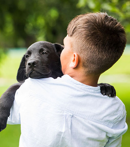 The boy with his favorite four-legged friend